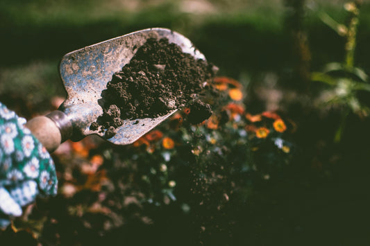 How to Start an Organic Fertilizer Business in Nigeria
